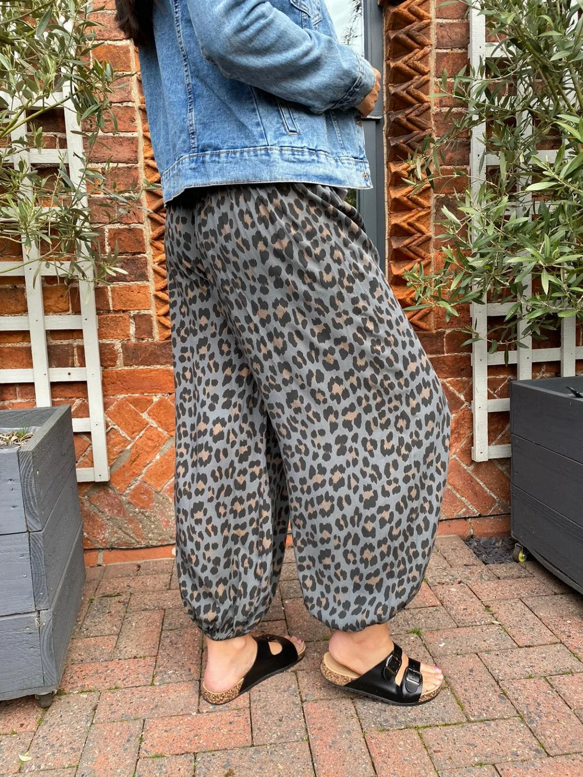 Leopard Hareem Trousers