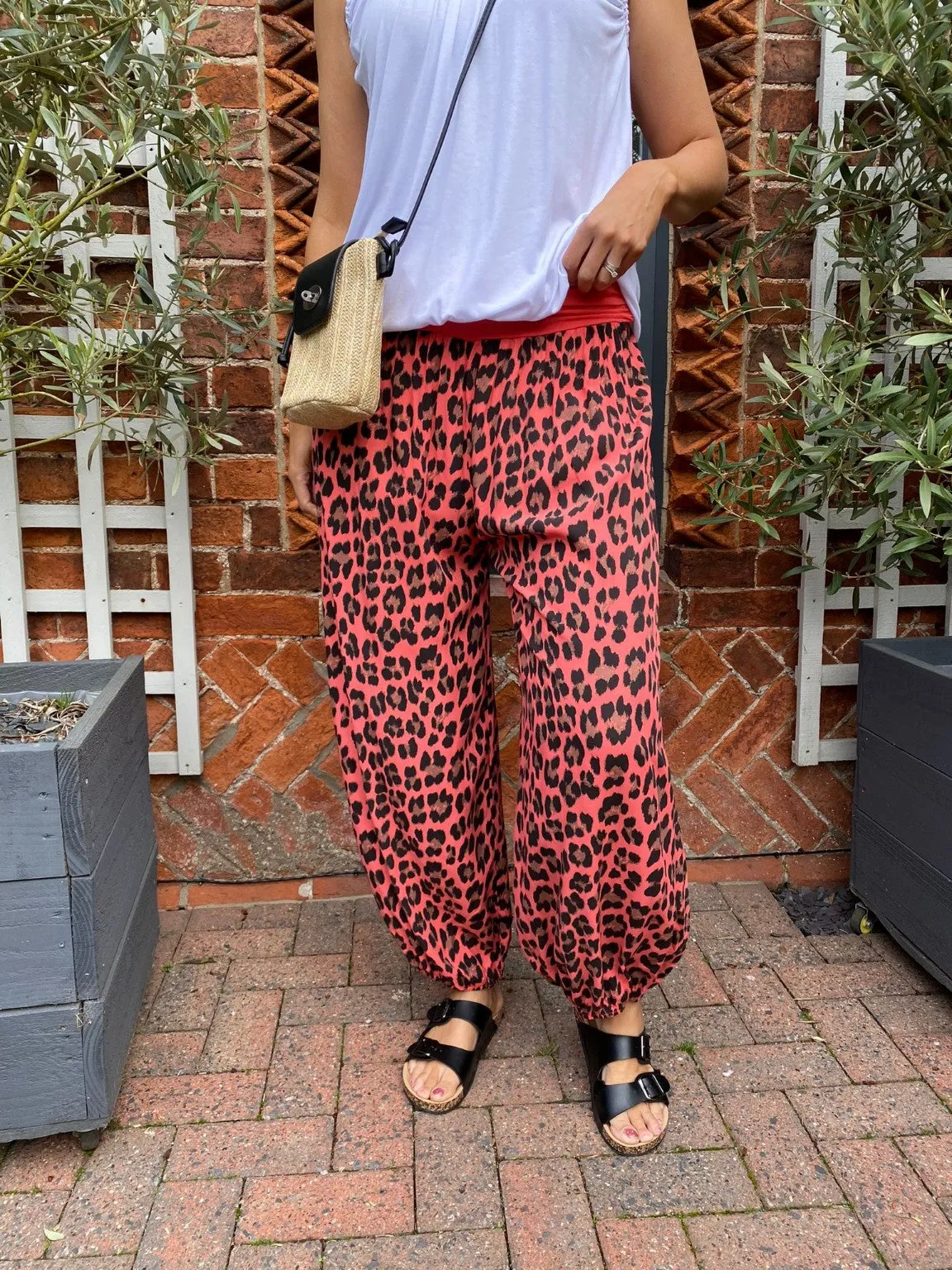 Leopard Hareem Trousers