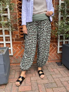 Leopard Hareem Trousers