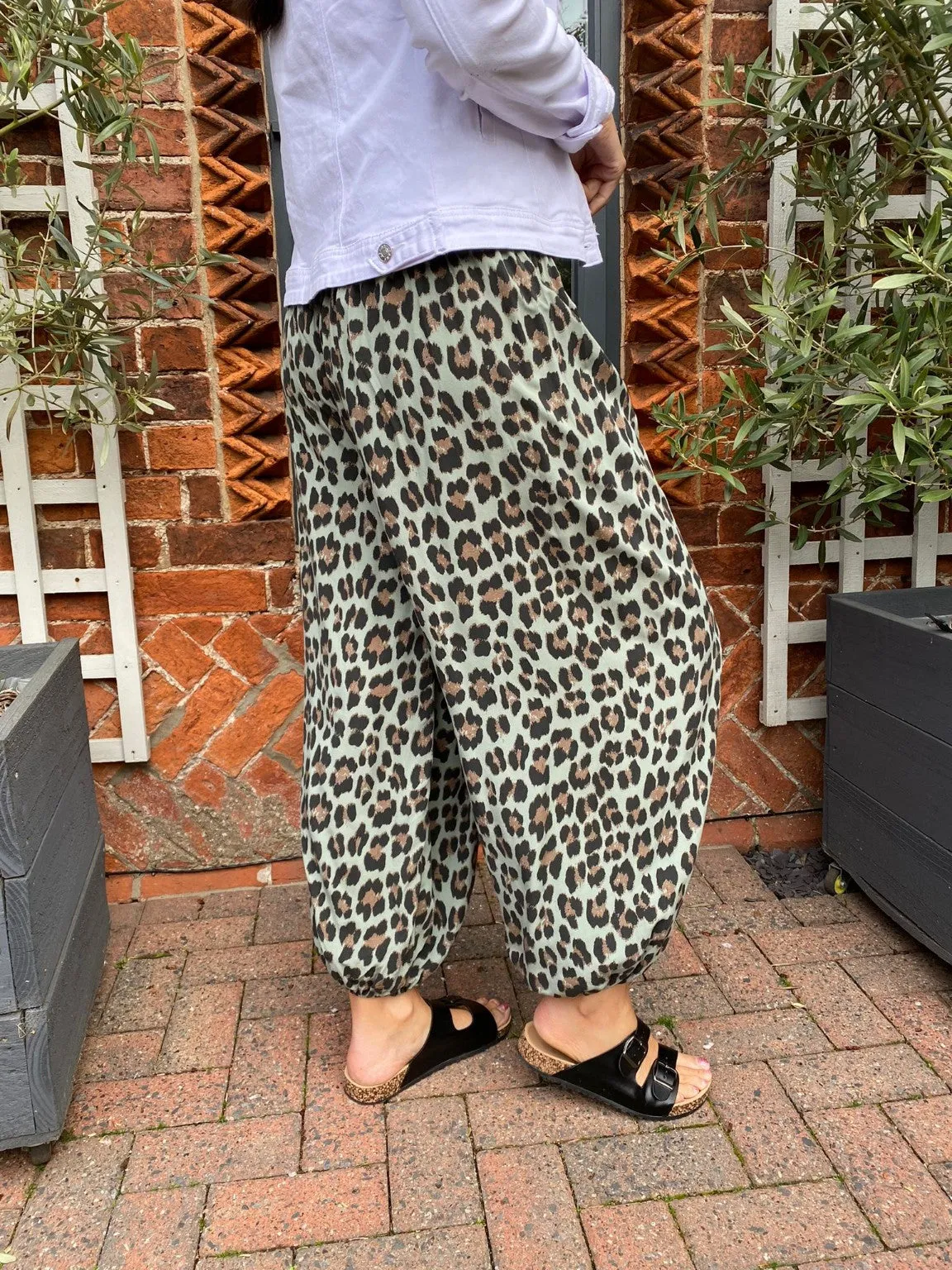 Leopard Hareem Trousers