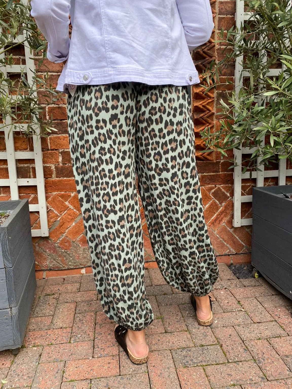 Leopard Hareem Trousers