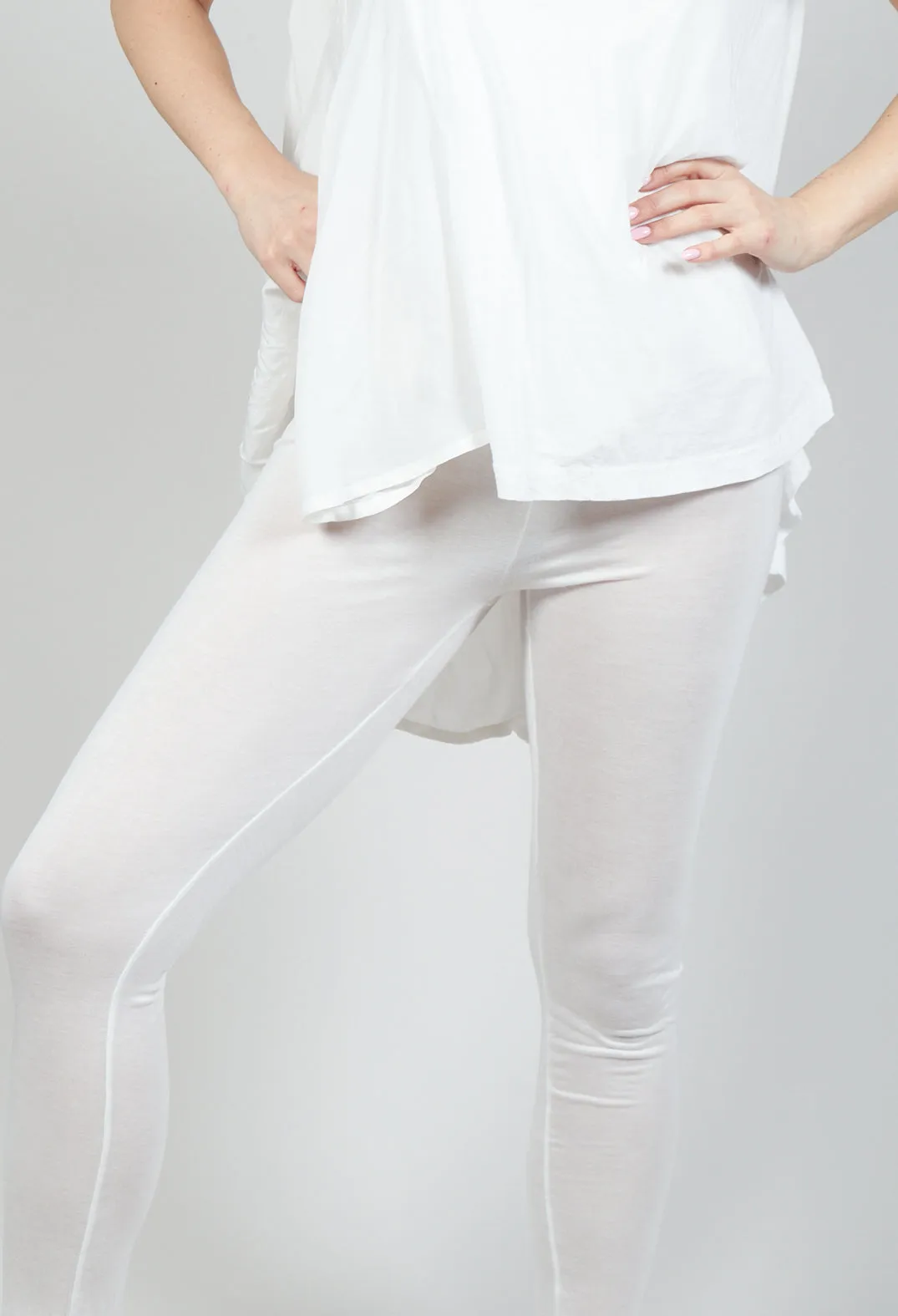 Sheer Leggings in Callas